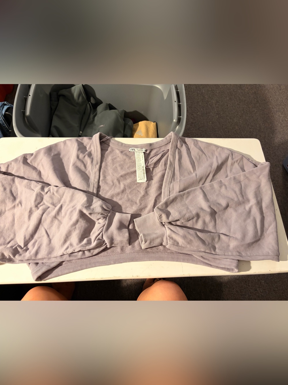 Zara Lavender Cropped Sweatshirt